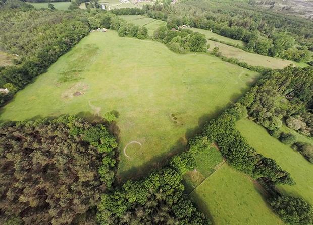 wood land sale case study